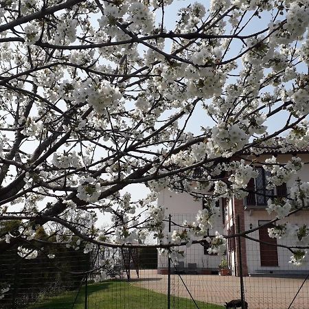 B&B Acacia Rosa Guarene Екстериор снимка